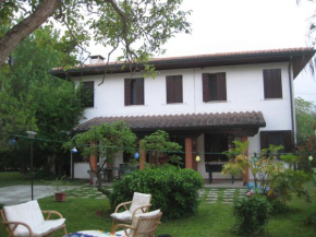 Tribano